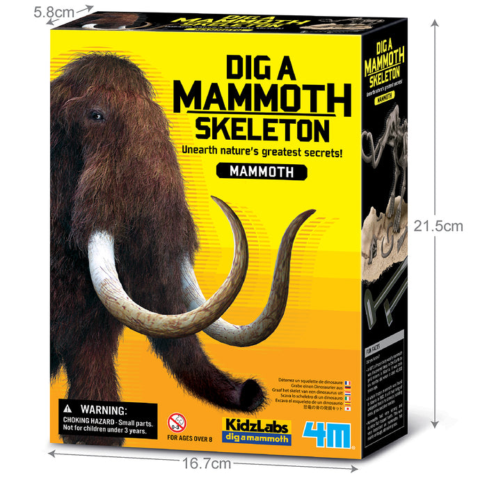 Dig A Mammoth Skeleton