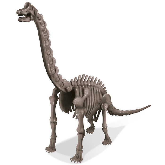 Dig A Brachiosaurus Skeleton