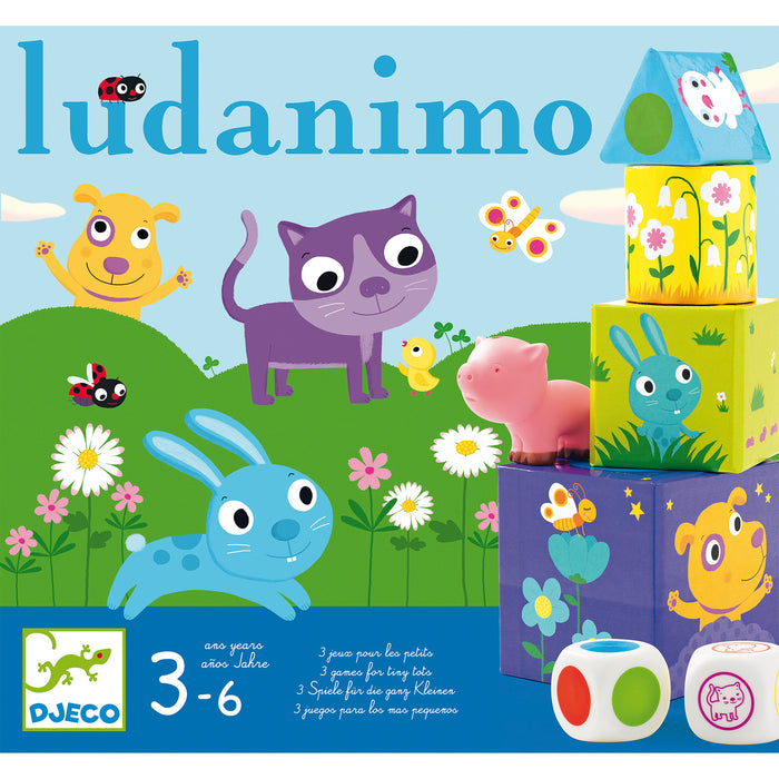 Ludanimo Games memory game  balancing game circuit game