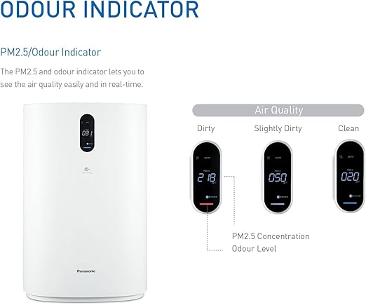 Panasonic NanoeX Air Purifier