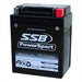 Motorcycle motorbike battery (YB14L-A2) AGM 12V 12AH 310CCA BY SSB