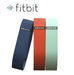 Fitbit Flex Wristband Accessory Pack