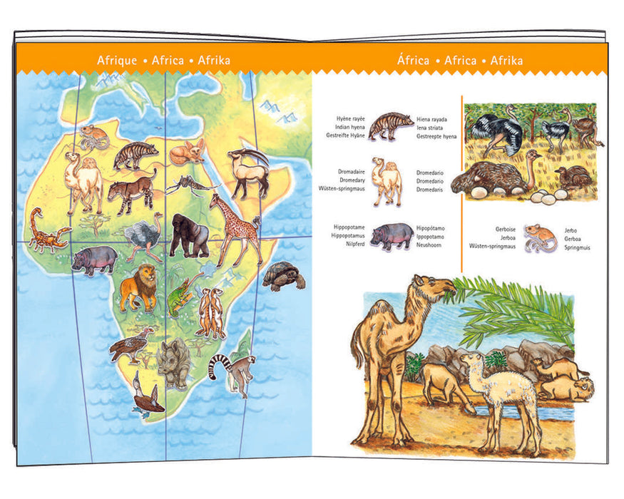 World's Animals Puzzle 100pc - Djeco